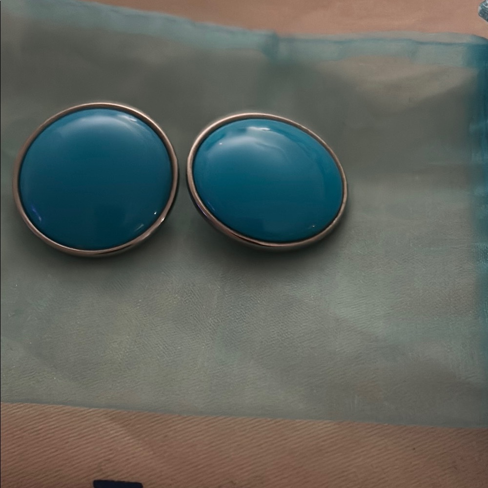 Blue Oval Earrings